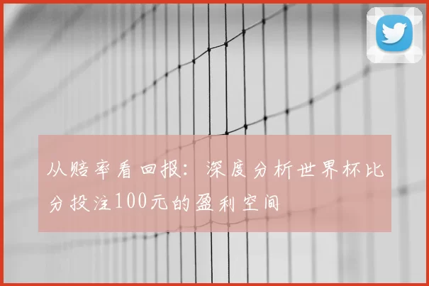 从赔率看回报：深度分析世界杯比分投注100元的盈利空间