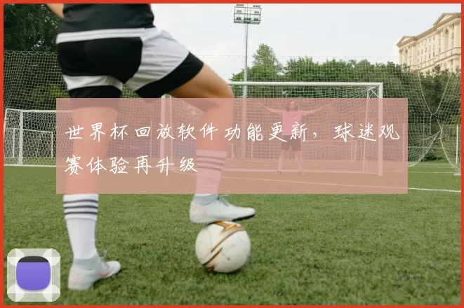 世界杯回放软件功能更新，球迷观赛体验再升级