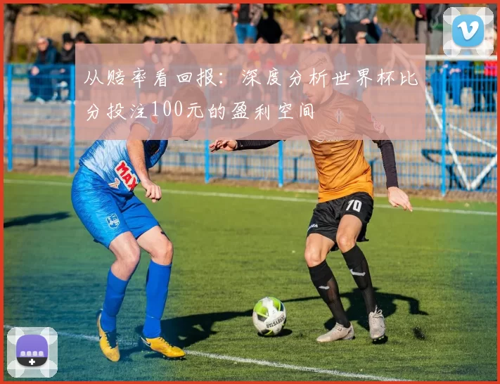 从赔率看回报：深度分析世界杯比分投注100元的盈利空间