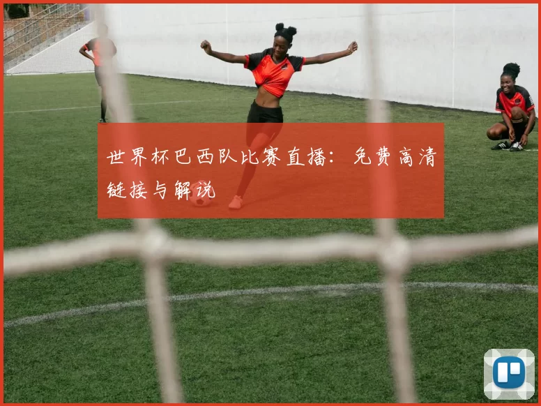 世界杯巴西队比赛直播：免费高清链接与解说
