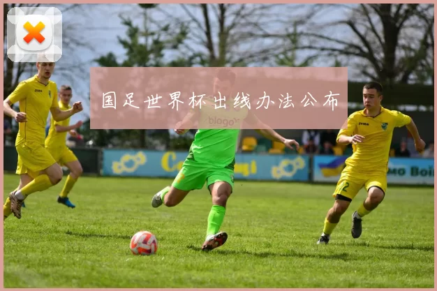 国足世界杯出线办法公布