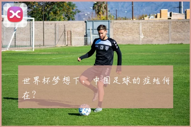 世界杯梦想下,中国足球的症结何在?