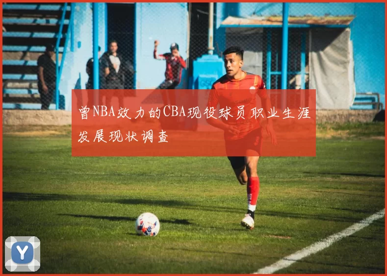 曾NBA效力的CBA现役球员职业生涯发展现状调查