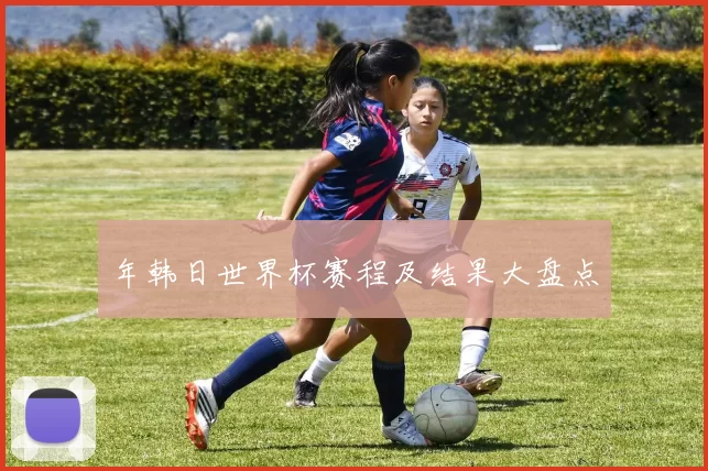 年韩日世界杯赛程及结果大盘点