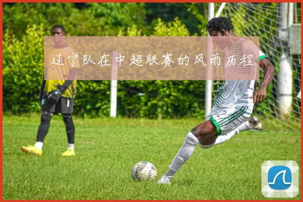 辽宁队在中超联赛的风雨历程