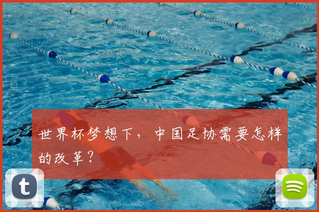 世界杯梦想下,中国足协需要怎样的改革?