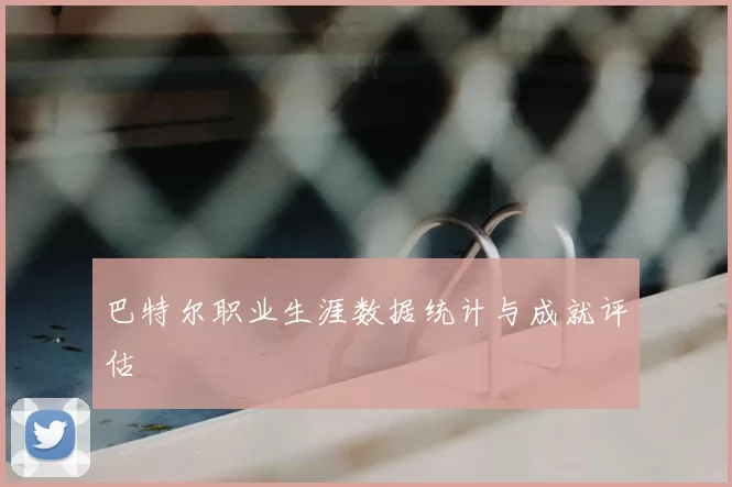 巴特尔职业生涯数据统计与成就评估