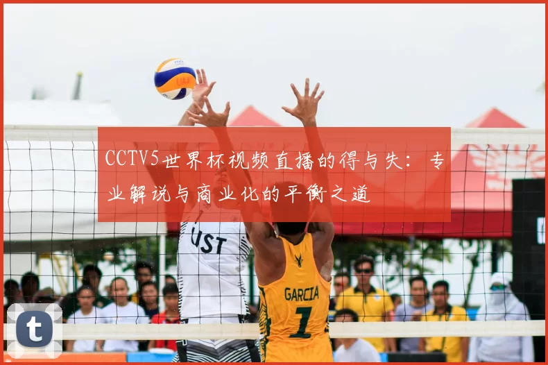 CCTV5世界杯视频直播的得与失：专业解说与商业化的平衡之道