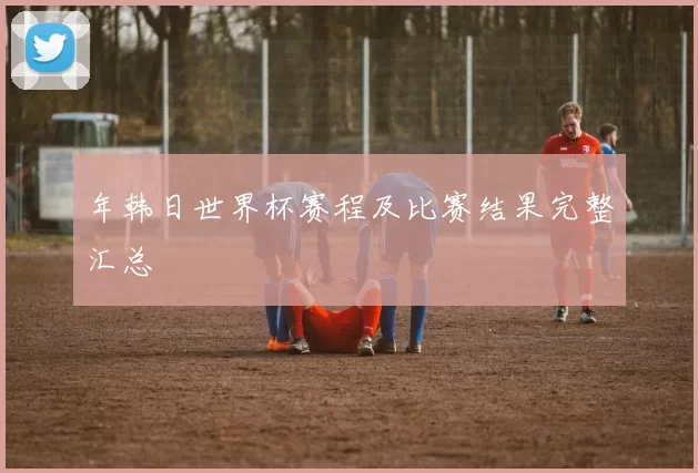 年韩日世界杯赛程及比赛结果完整汇总