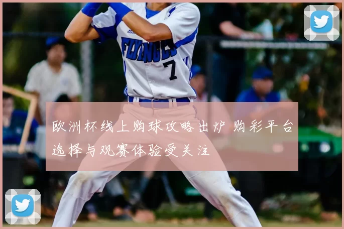 欧洲杯线上购球攻略出炉 购彩平台选择与观赛体验受关注